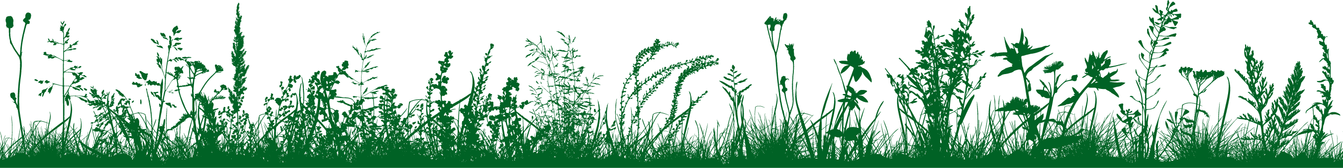connemara meadow art 006225