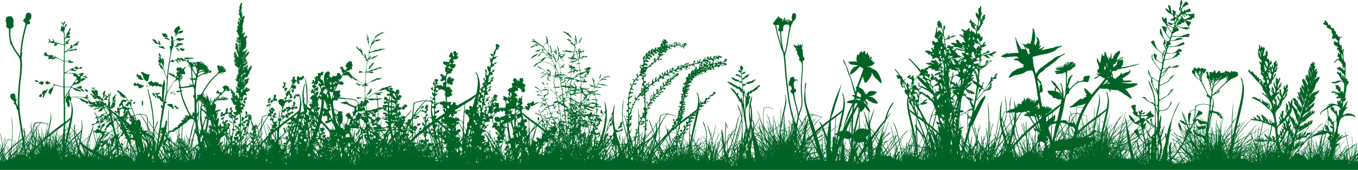 Visit the Meadow 2 connemara meadow art 006225