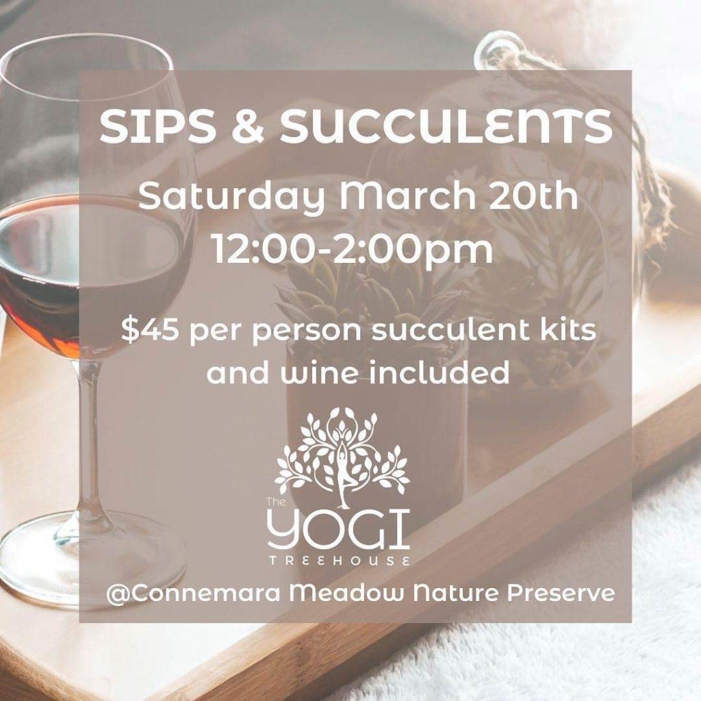 Sips and Succulents