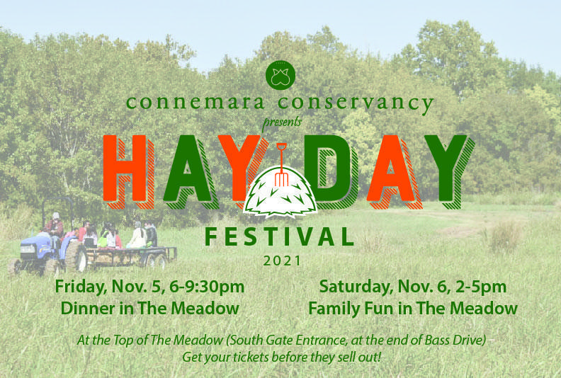 Hay Day festival 2021 01 Hay Day festival 2021 01